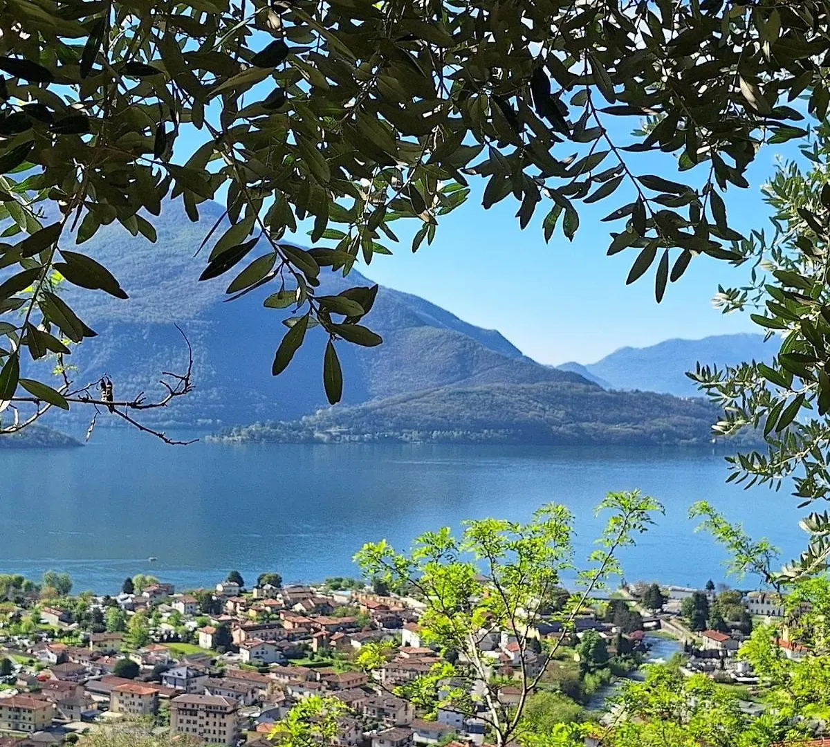 Villa Viva-Como Domaso Holiday home