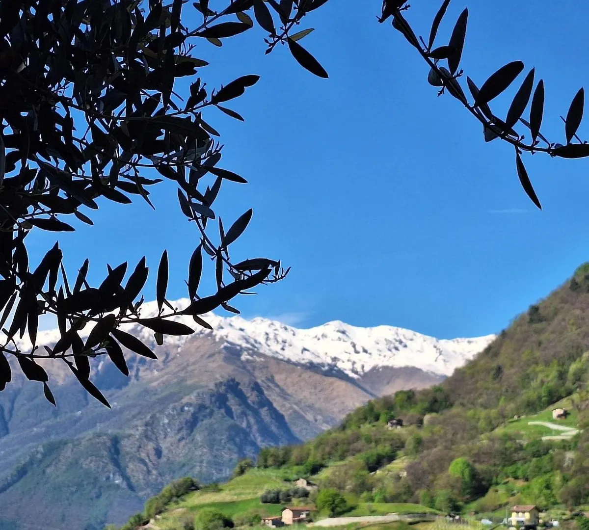 Holiday home Villa Viva-Como Domaso Italy